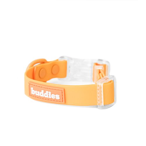 Buddies Collar Pvc Para Perros Paseos Naranja S