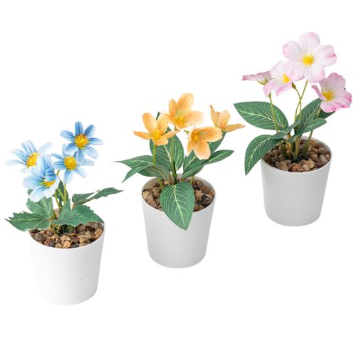 Set de Plantas DECO HOME Selva Mágica 3un