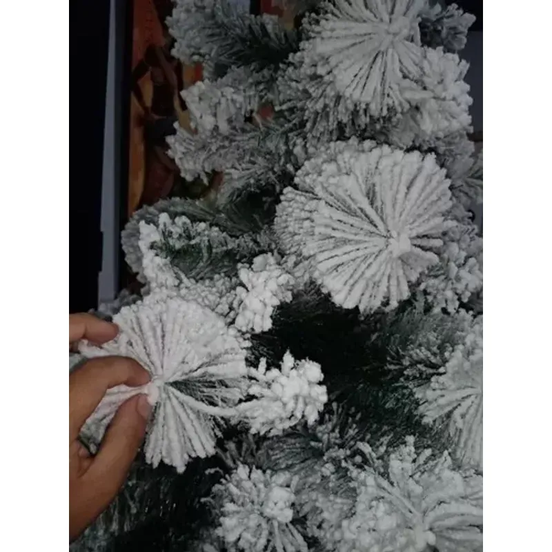 image-23f24eeb412f44f68232781da7494e9a