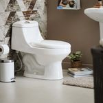 shp-32975-12
