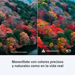 image-a539074a5a554de8bb813f2cf6d1cc87