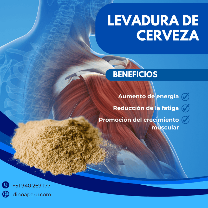 Levadura-de-Cerveza-capsulas-x-100