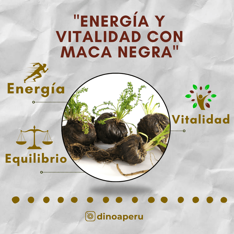 Maca-Negra-Capsulas-x-100