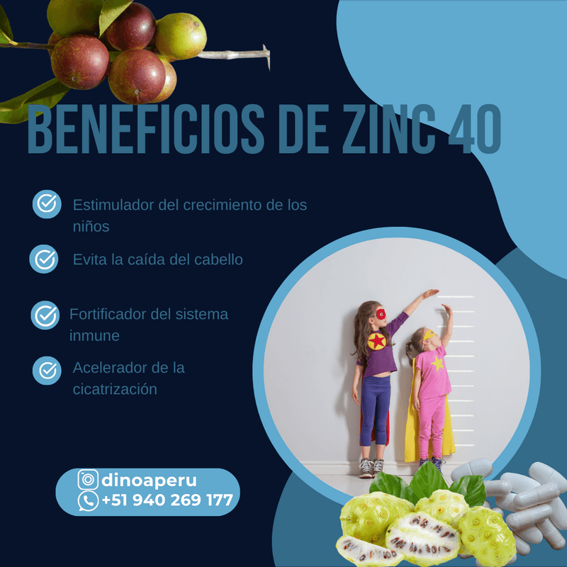 Zinc-40-x-90-capsulas