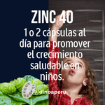 Zinc-40-x-90-capsulas