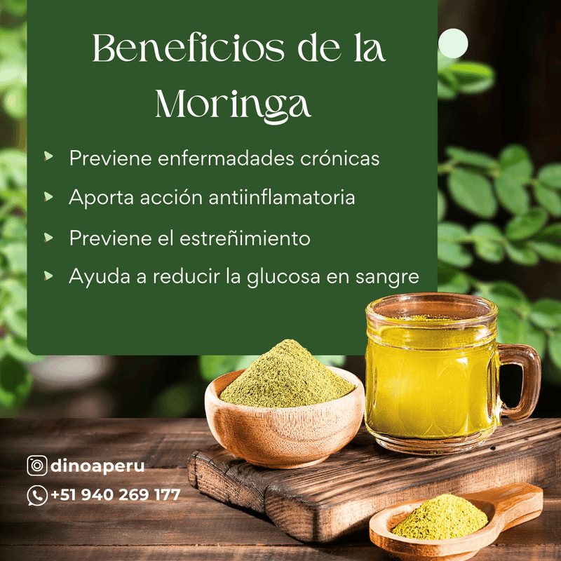 Moringa-Capsulas-x-100