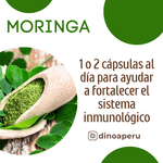 Moringa-Capsulas-x-100