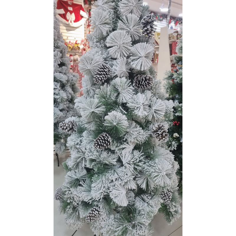 image-e6e342fc2ebb4d5a8e61c8e7a0ee06d1
