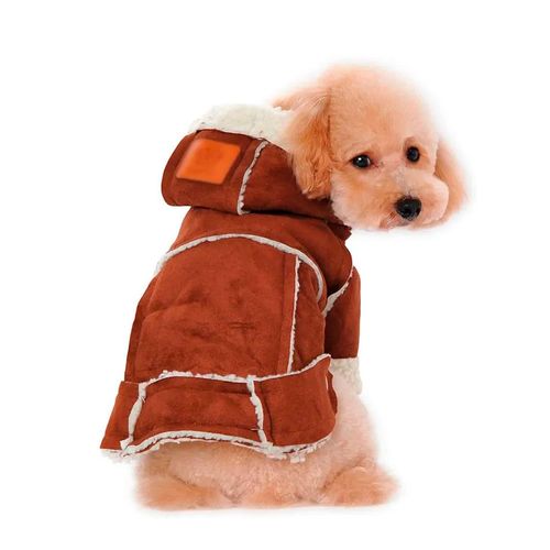 Ropa para perro Mi teddy dog de gamuza L