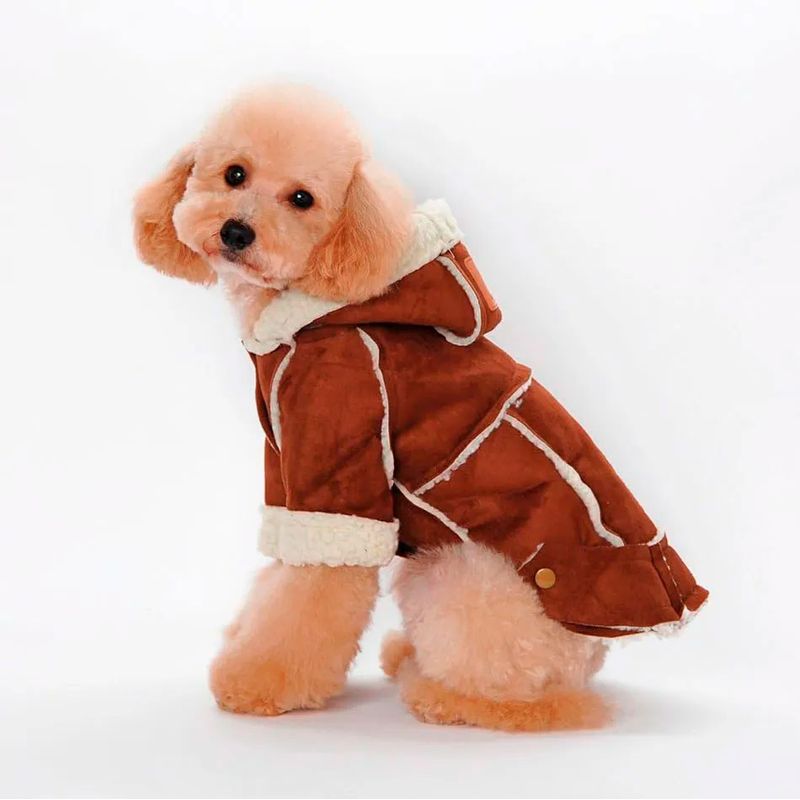 Ropa-de-perro-Mi-teddy-dog-de-gamuza-S