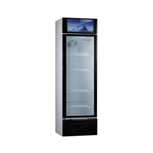 Vitrina exhibidora Bord EX309-M 309LT (oferta)