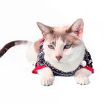 image-aed59c1609364a86906b14150753e4dc