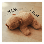 image-f4907c1fc10c4cd991384e17ce2c822b