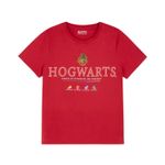 Polo-Harry-Potter-Casa-Hogwarts---Talla-M