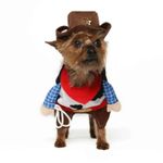 Disfraz-para-Mascota-CowBoy---Talla-M