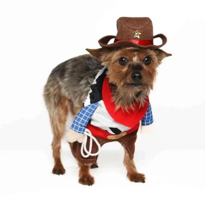 Disfraz-para-Mascota-CowBoy---Talla-M