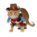 Disfraz-para-Mascota-CowBoy---Talla-M