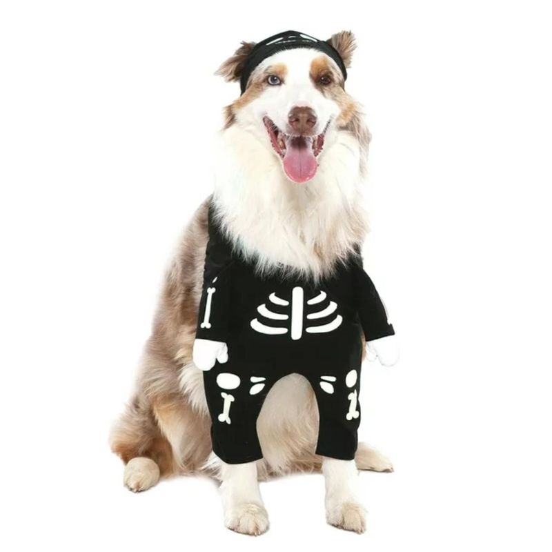 Disfraz-para-Mascota-Skeleton---Talla-S