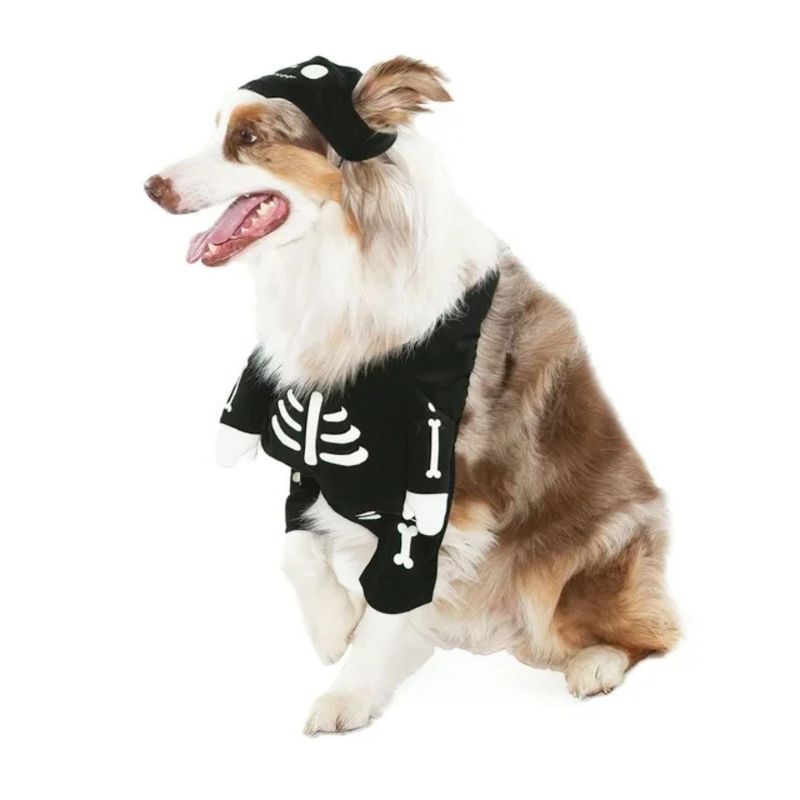 Disfraz-para-Mascota-Skeleton---Talla-S