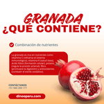 Granada-Pote-de-80gr