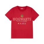 Polo-Harry-Potter-Casa-Hogwarts---Talla-S