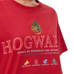 Polo-Harry-Potter-Casa-Hogwarts---Talla-S