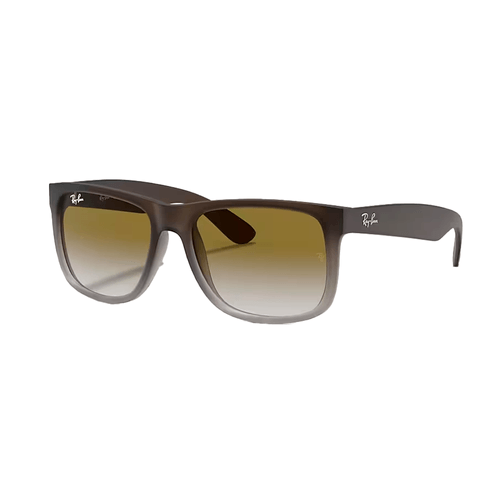 Lentes de Sol Ray Ban Wayfarer Justin RB4165 854/7Z  Marron degrade 54mm Nezmun