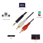 Cable-Mini-Plug-35-A-2-Rca-Macho-5-Metros