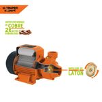 Bomba-periferica-para-agua-05-HP-60-Hz-220V-Truper--15019