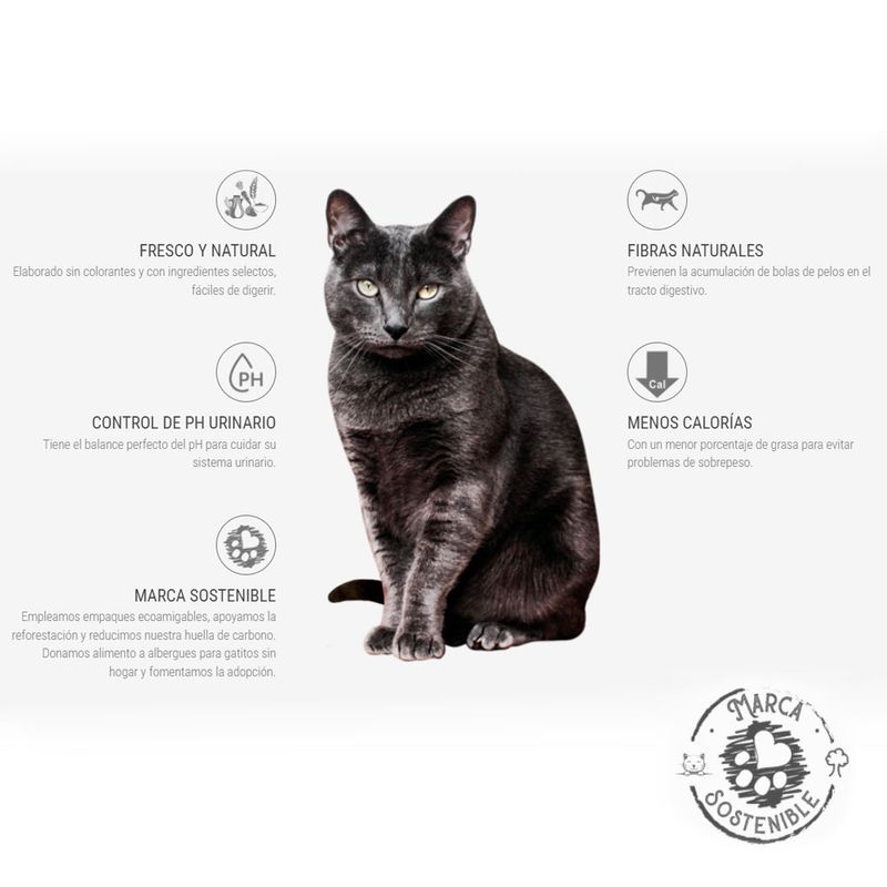 image-d97f6b5750de481eb86f7dcbe9459708