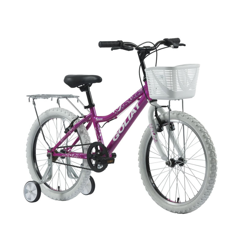 BICICLETA-GOLIAT-PARACAS-ARO-20-MORADO