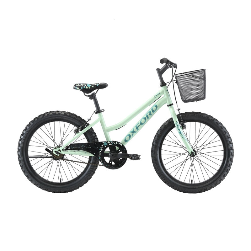 BICICLETA-OXFORD-LUNA-ARO-20-1V-VERDE-CLARO