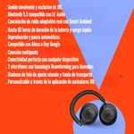 image-c8f3b169a79e43cf8b9f5bf3c4da4d88