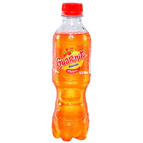 Gaseosa GUARANÁ Botella 300ml