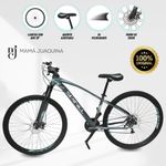 Bicicleta-Aro-29--MALTA--Cambios-Micronew-Verde