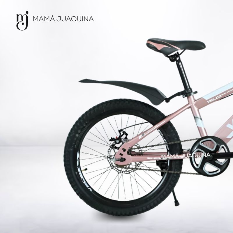 Bicicleta-Deportiva-Aro-20--PALMEIRA-II--Rosa