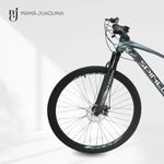 Bicicleta-Aro-29--MALTA--Cambios-Micronew-Verde