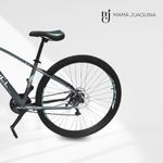 Bicicleta-Aro-29--MALTA--Cambios-Micronew-Verde
