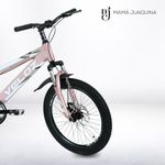 Bicicleta-Deportiva-Aro-20--PALMEIRA-II--Rosa