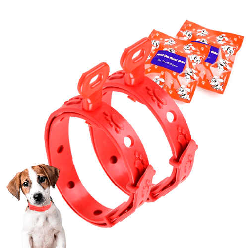 Pack 2 Collar Antipulgas Graduable para Perros