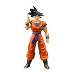 SH-Figuarts-Dragon-Ball-Z-Son-Goku---A-Saiyan-Raised-On-Earth