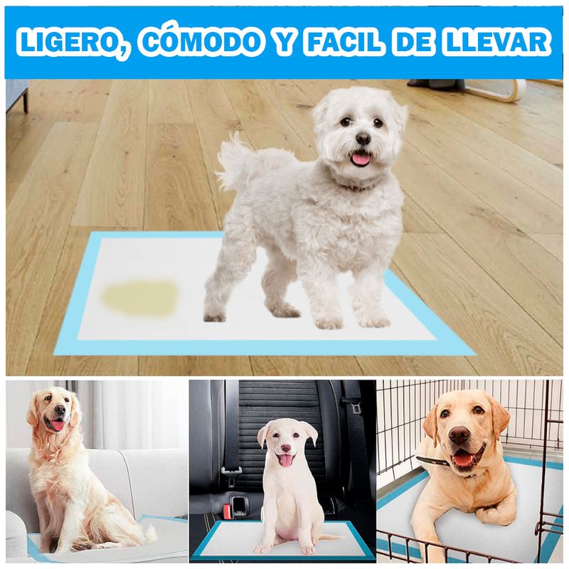 Pañales-de-Piso-Absorbentes-Desechables-para-Perros-Mascotas-Talla-L-40-uds