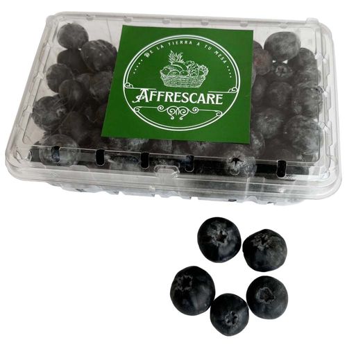 Blueberries Frescos AFFRESCARE Bandeja 500g