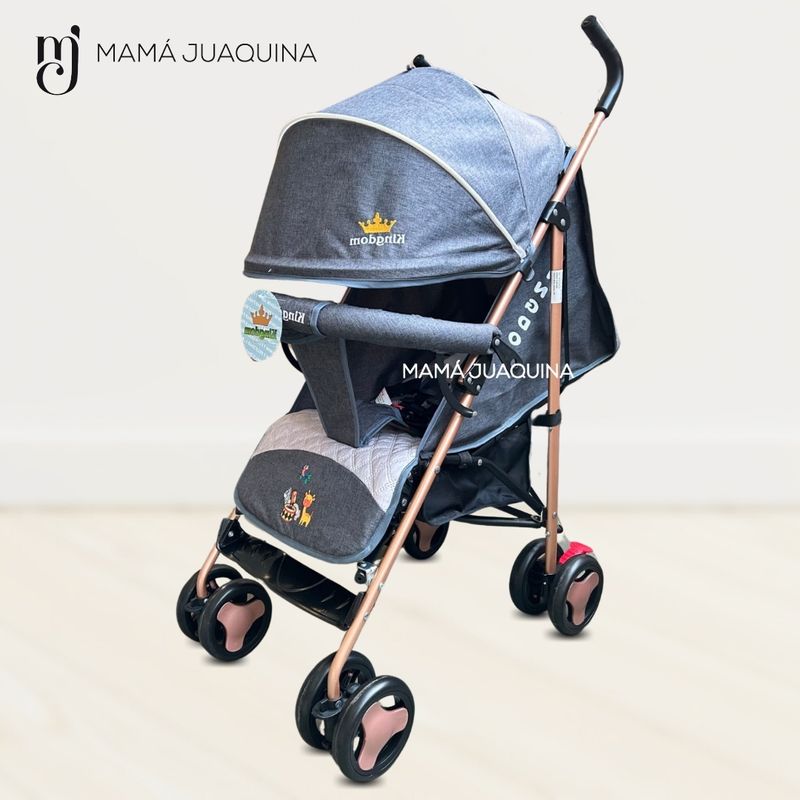 Coche-Baston-Deportivo-«ZAFARI-GOLD»-Edicion-Limitada-Gray