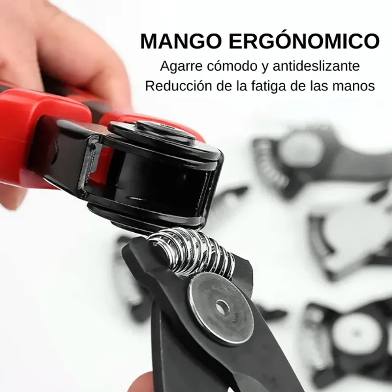 image-a4f0ae5b20d4466f98258c3ce3675c81