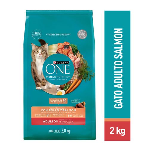 ALIMENTO DE GATO PURINA ONE SALMON 2KG