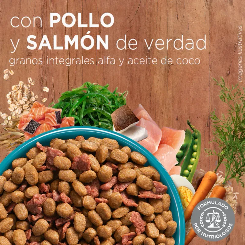 ALIMENTO-DE-GATO-PURINA-ONE-SALMON-2KG