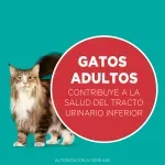 ALIMENTO-DE-GATO-PURINA-ONE-SALMON-2KG