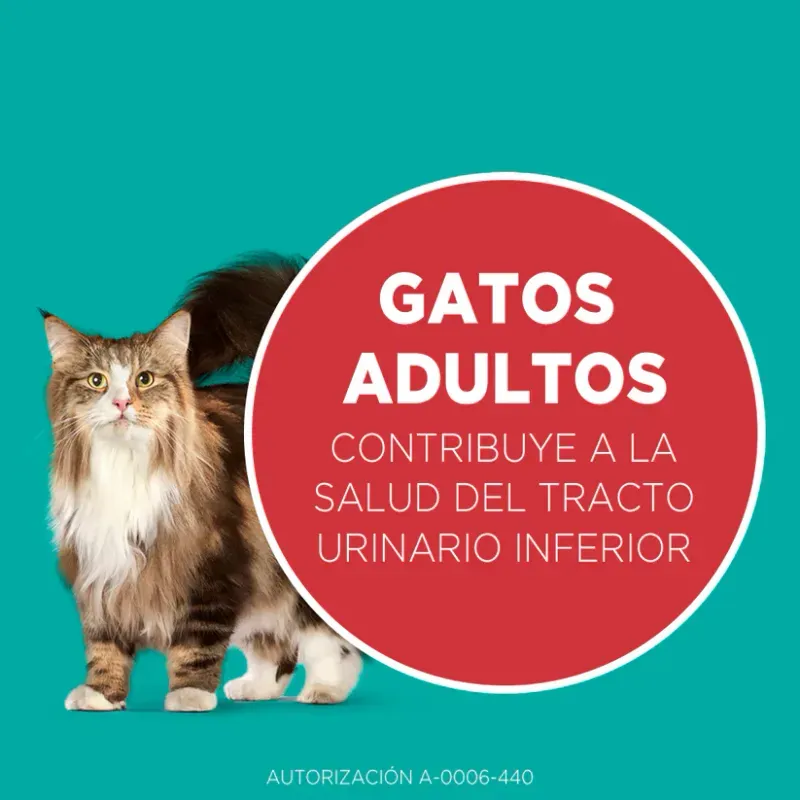 ALIMENTO-DE-GATO-PURINA-ONE-SALMON-2KG