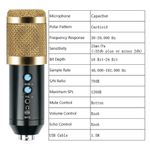 -Microfono-Condensador-profesional-BM858TZ-USB-estudio-de-grabacion-PC---Dorado
